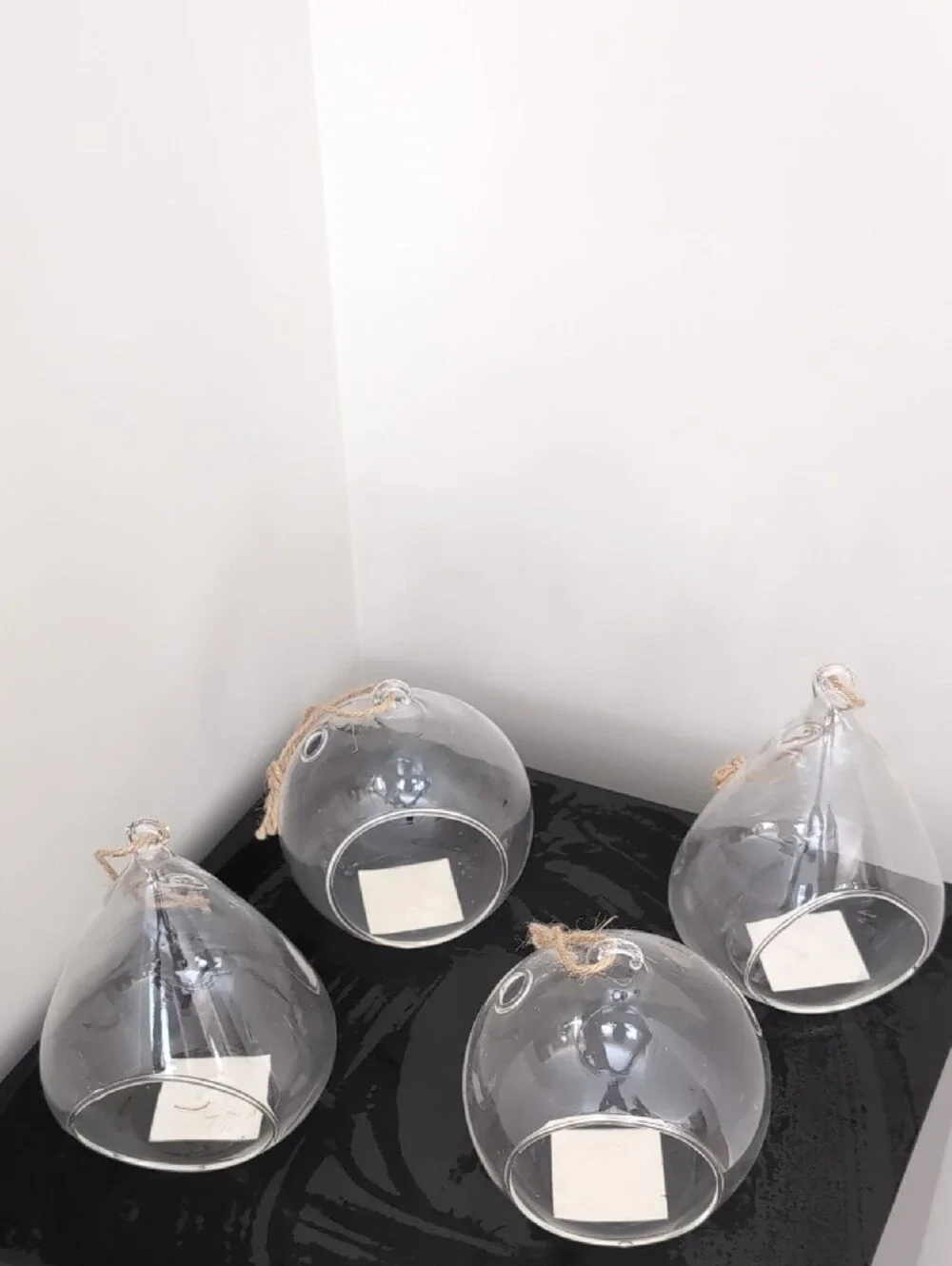 Clear Glass Hanging Teardrop Terrarium Planter with Rope